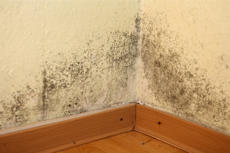 주택 결로 시공 PC 이미지 6106407