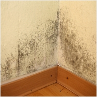 정읍 주택 아파트 공장 결로검사 결로공사 시공업체-6106407